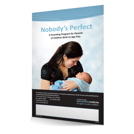 Nobody’s Perfect Poster