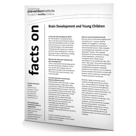Brain Development and Young Children