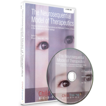 The Neurosequential Model of Therapeutics
