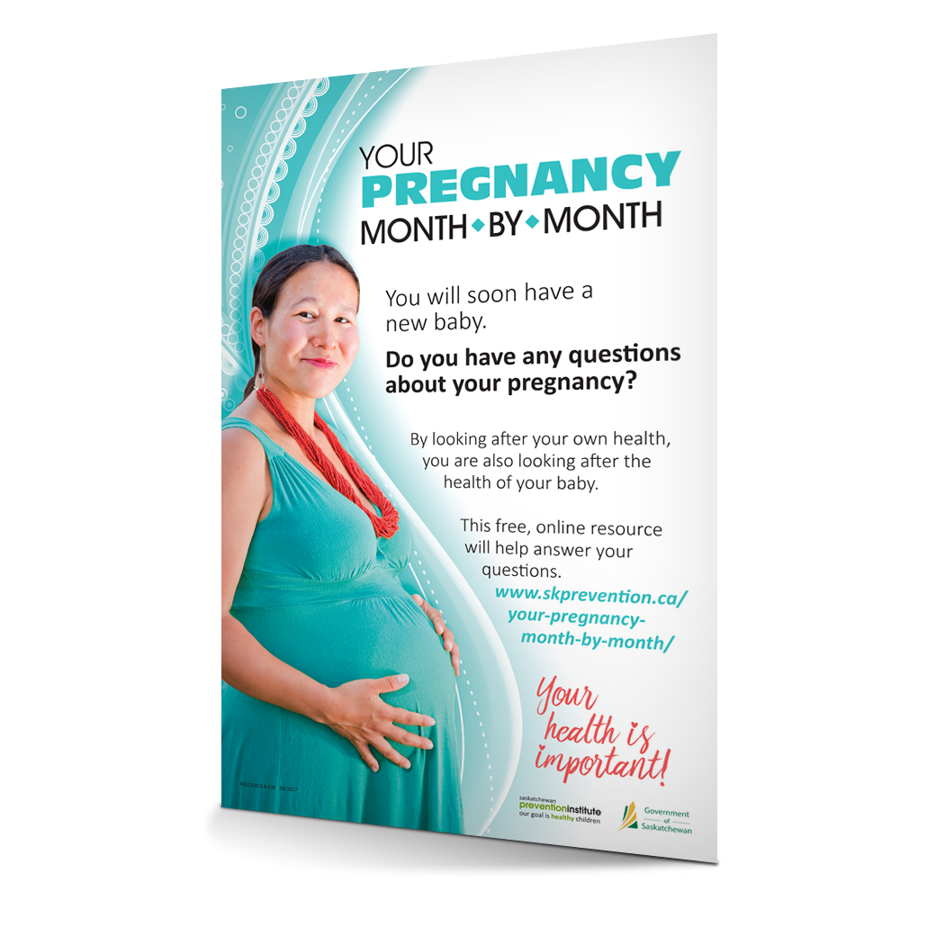 8-830: Pregnancy Month To Month Poster