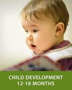Child Development 12-18 Months