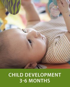 Child Development 3-6 Months
