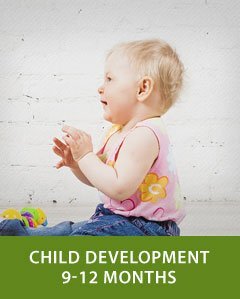 Child Development 9-12 Months