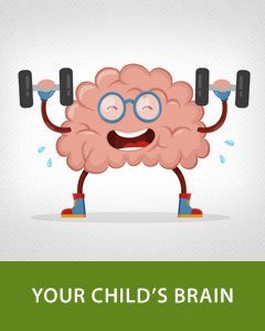 Your Child’s Brain