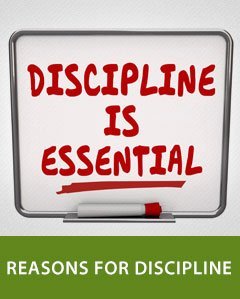 Reasons for Discipline