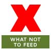 What Not to Feed a Baby (0-1 Year)