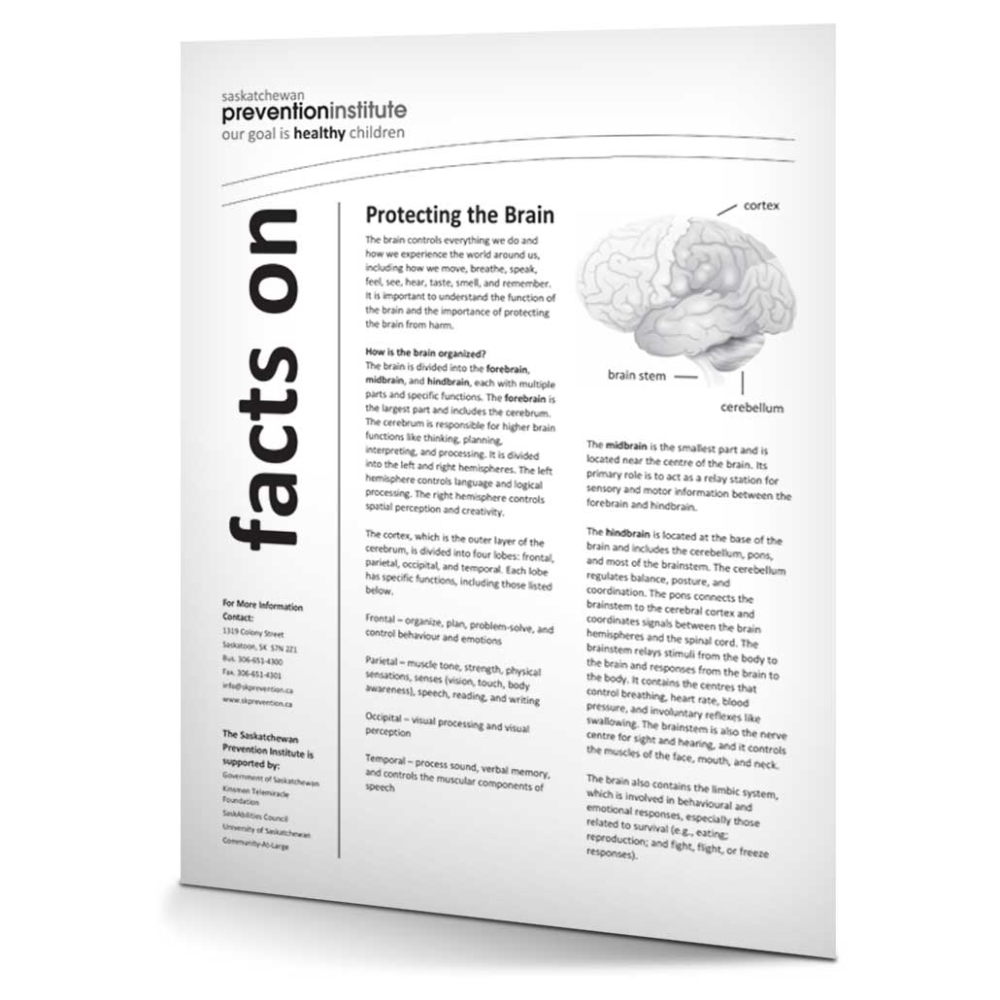 Protecting The Brain Saskatchewan Prevention Institute