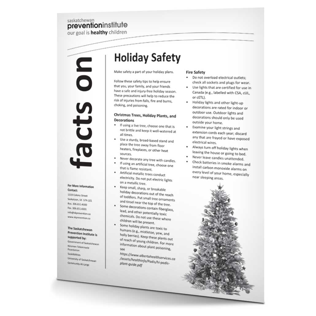 4-019: Holiday Safety