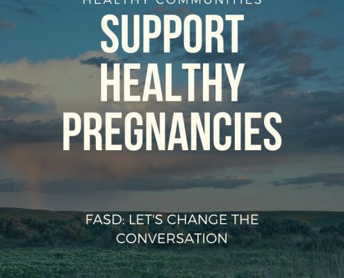 Support Healthy Pregnancies