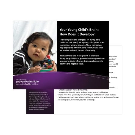 8-701: Your Young Child’s Brain: How Does It Develop?